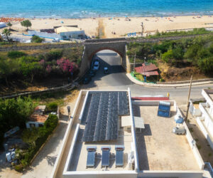 Vitale_2 (1)